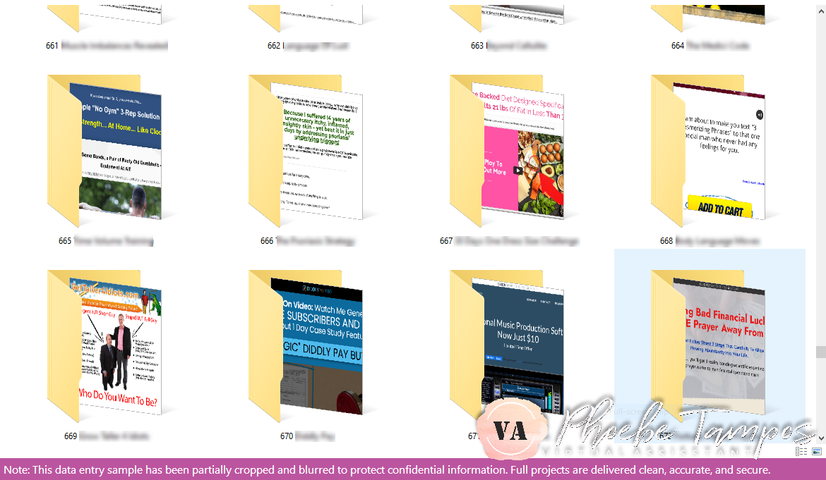 Screenshot folders organized by website name for structured data entry and visual documentation.